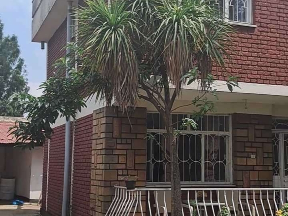 photo 2024 06 14 17 35 11