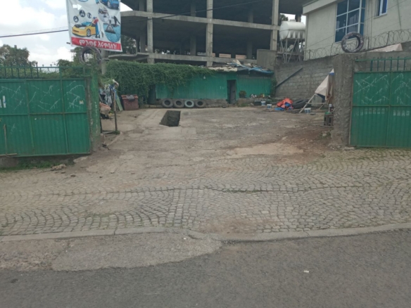 photo 2024 06 15 11 46 11