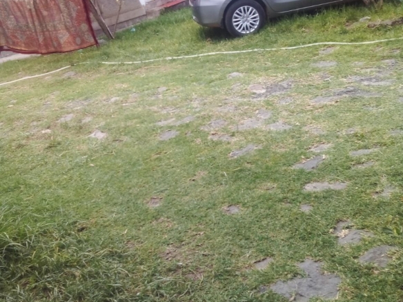 photo 2024 06 16 15 38 32