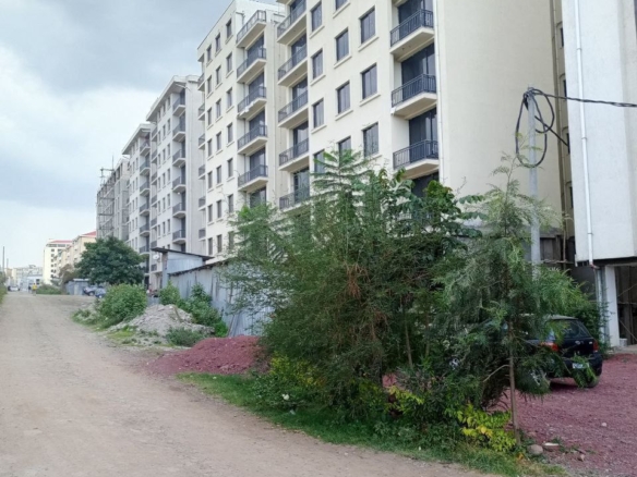 photo 2024 06 18 13 04 26