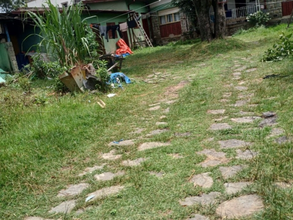 photo 2024 06 20 12 02 03