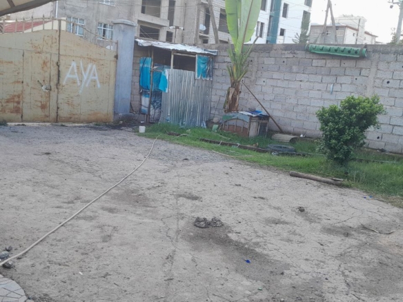 photo 2024 06 20 17 00 00