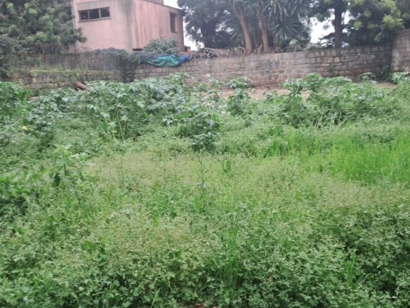 photo 2024 06 24 13 34 02