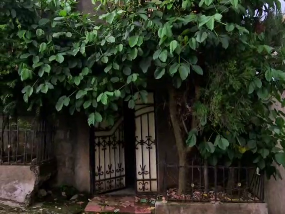 vlcsnap 2024 06 18 12h33m46s226