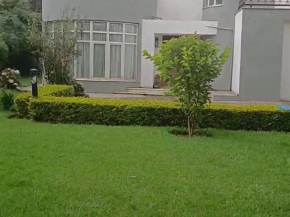 vlcsnap 2024 06 22 19h25m41s100