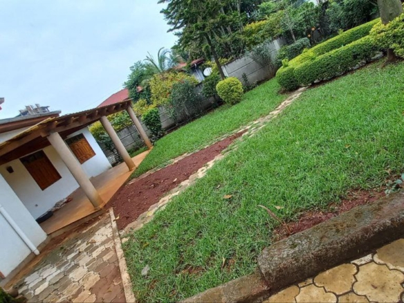 photo 2024 07 05 19 52 37