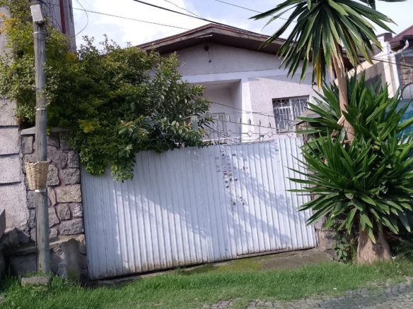 photo 2024 08 01 17 41 27