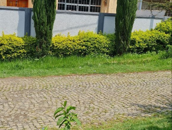 photo 2024 08 18 13 27 06