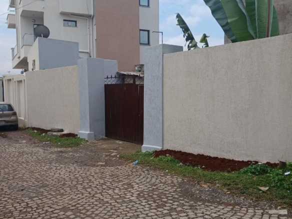 photo 2024 08 24 18 36 20