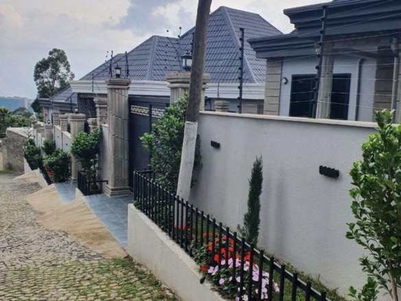 photo 2024 08 31 18 17 55