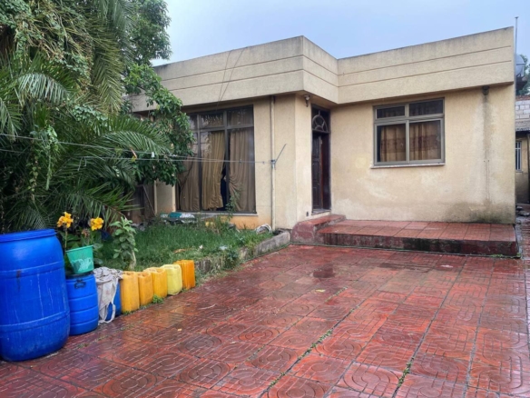 photo 2024 09 09 21 45 04