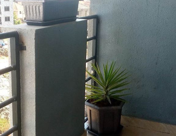photo 2024 09 10 19 11 20
