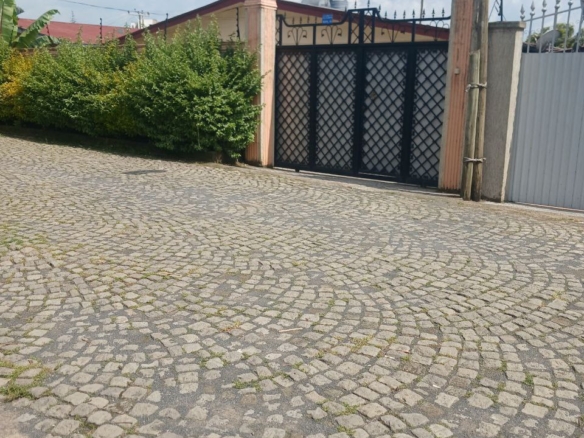 photo 2024 10 01 19 44 46