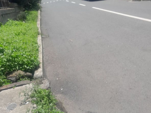 photo 2024 10 31 16 10 14