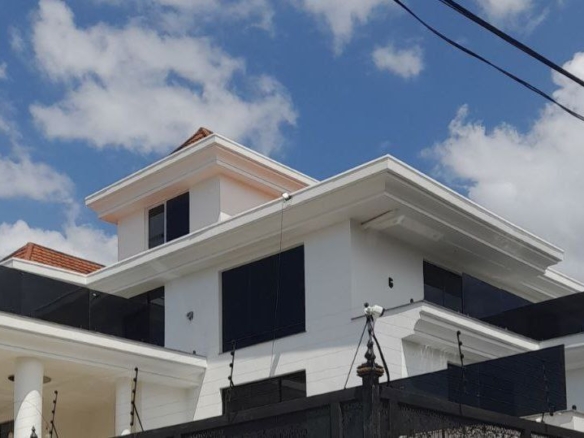 photo 2024 11 05 11 46 18