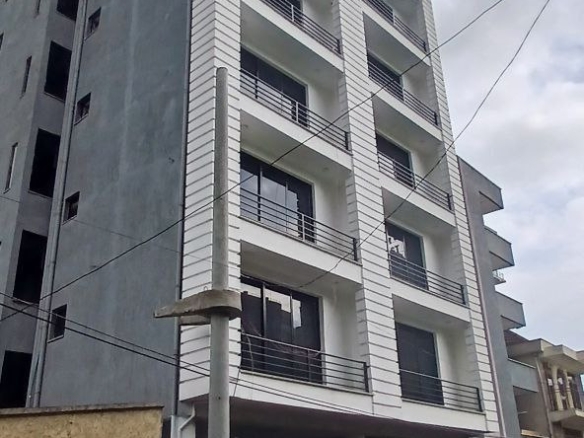 photo 2024 11 08 10 45 33