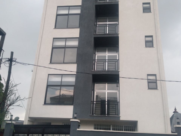 photo 2024 11 08 14 33 38