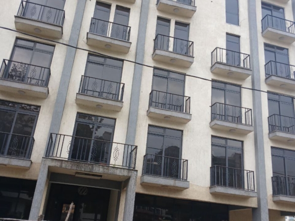 photo 2024 11 12 10 34 47