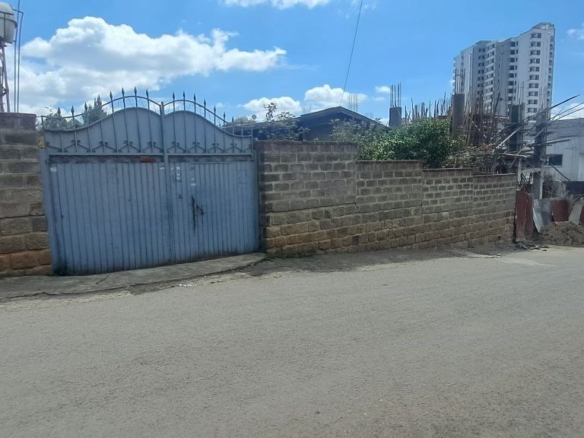 photo 2024 11 13 18 53 42 1