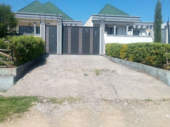 photo 2024 11 13 19 17 06