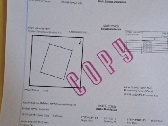 photo 2024 11 14 13 24 50