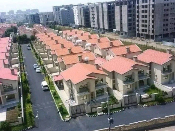 photo 2024 11 14 14 54 59