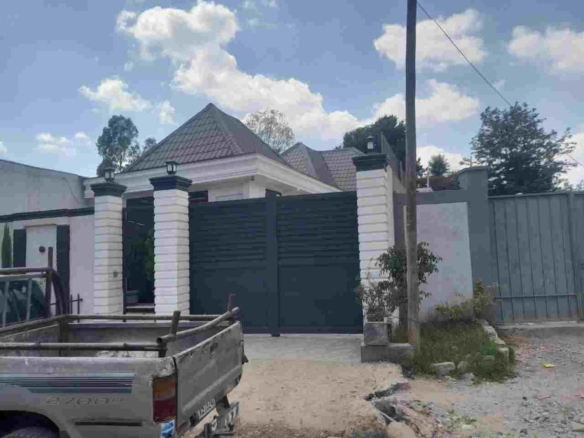 photo 2024 11 14 15 21 43