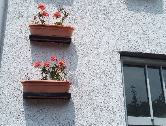 photo 2024 11 17 21 45 33