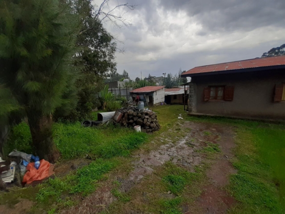 photo 2024 11 21 16 18 44