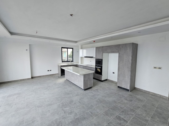 photo 2024 11 22 19 50 49