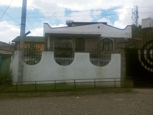 photo 2024 11 23 20 47 04