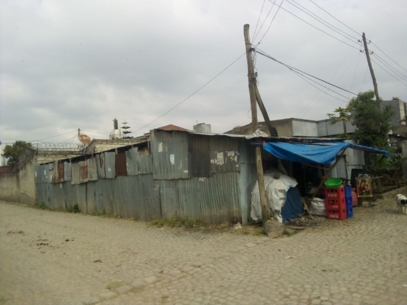 photo 2024 11 24 12 54 06