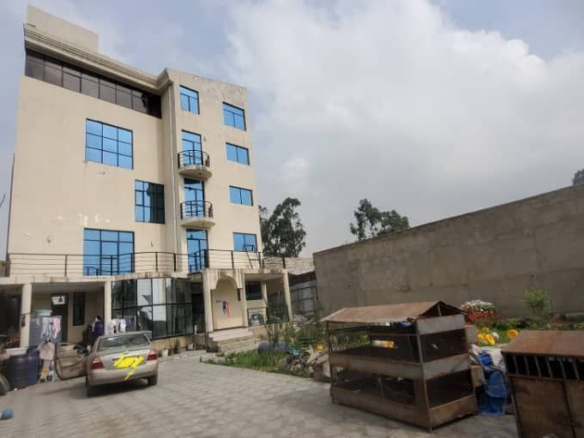 photo 2024 11 26 12 55 52