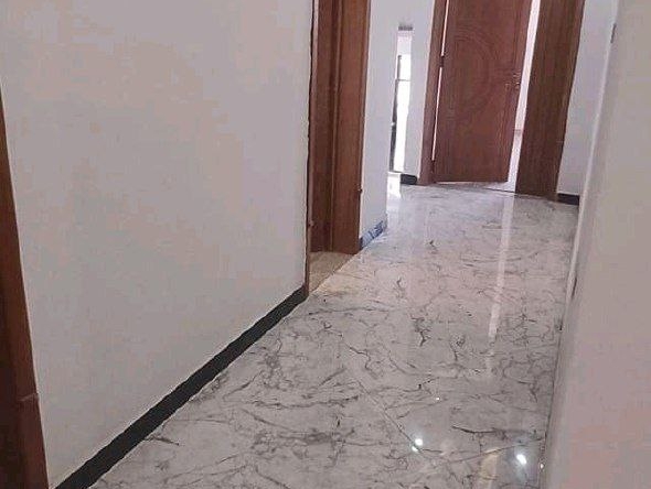 photo 2024 11 26 13 13 18