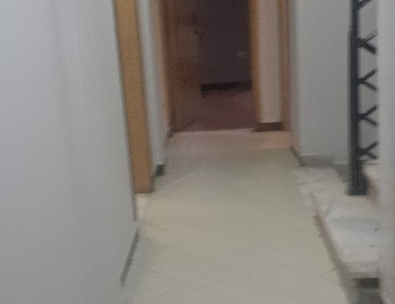 photo 2024 12 30 11 28 37