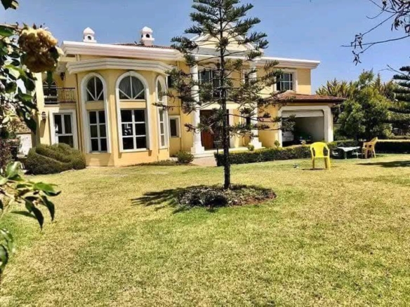 photo 2025 01 25 19 29 15