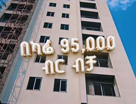 photo 2025 02 08 21 29 48