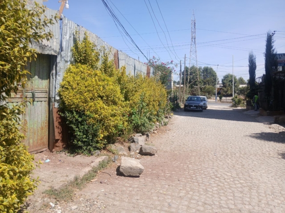 photo 2025 03 28 11 38 16