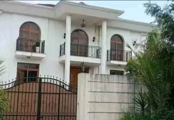 photo 2025 04 07 11 54 04