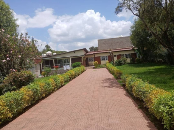 photo 2025 11 23 19 56 44